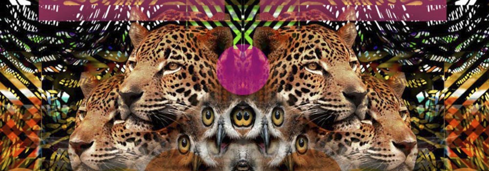 banner-estudio-grafico-peru-home8