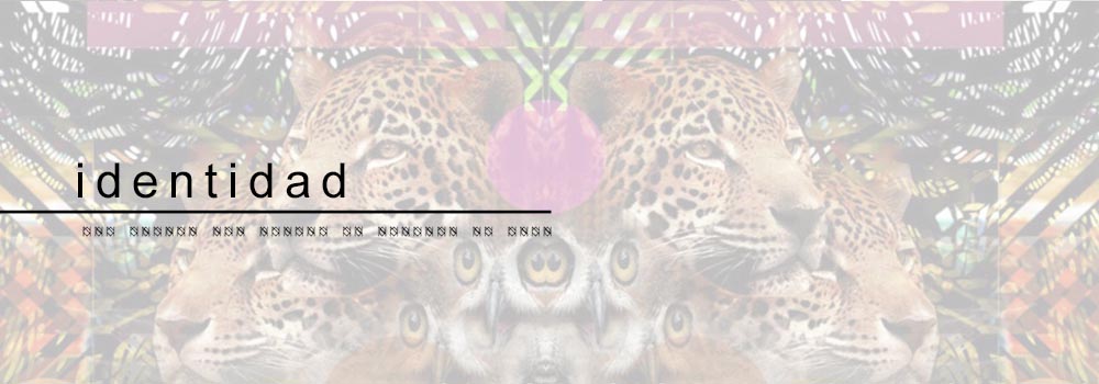 banner-estudio-grafico-peru-home5